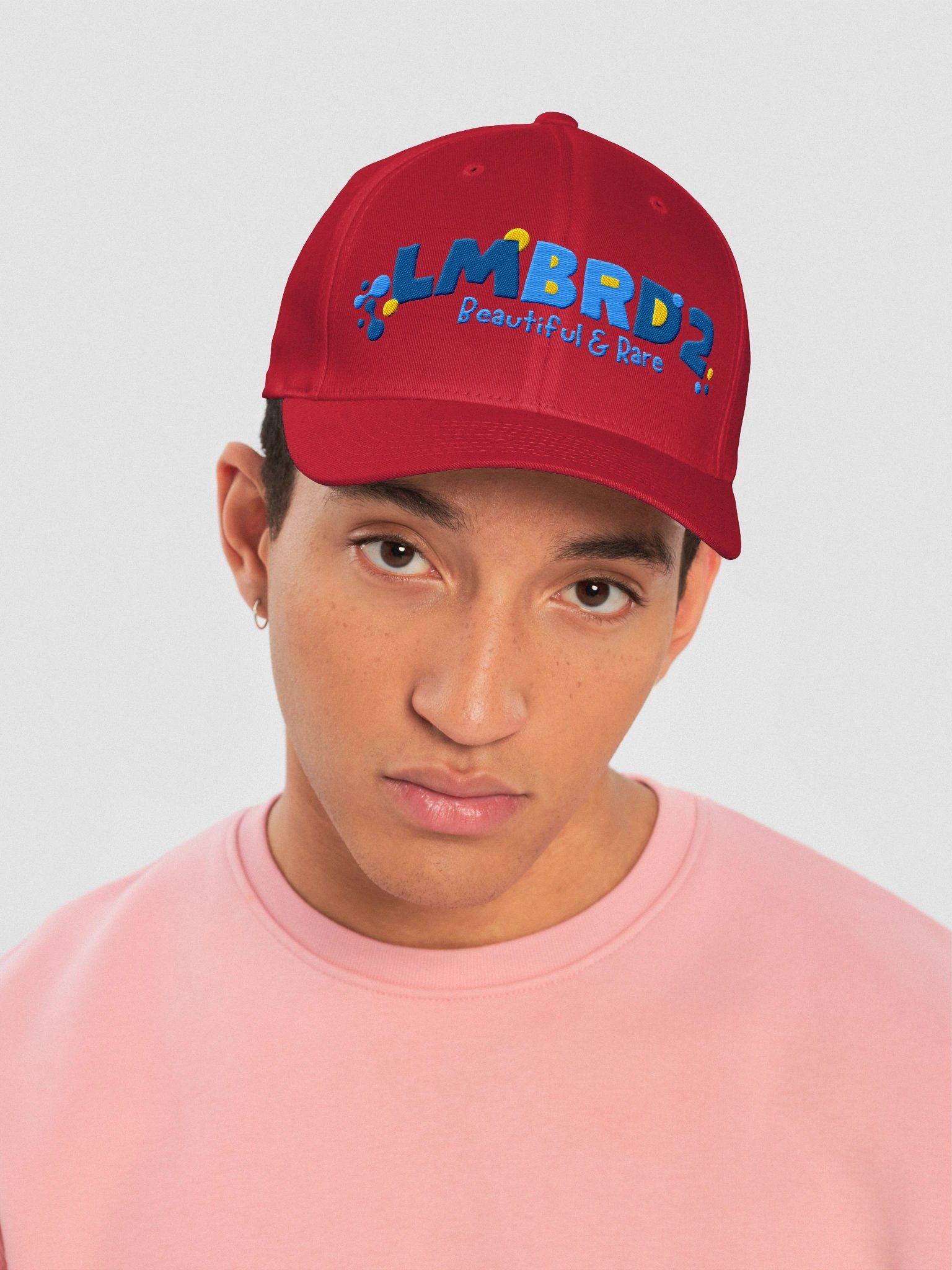 LMBRD2 Flexfit Structured Fitted Cap product image (30)