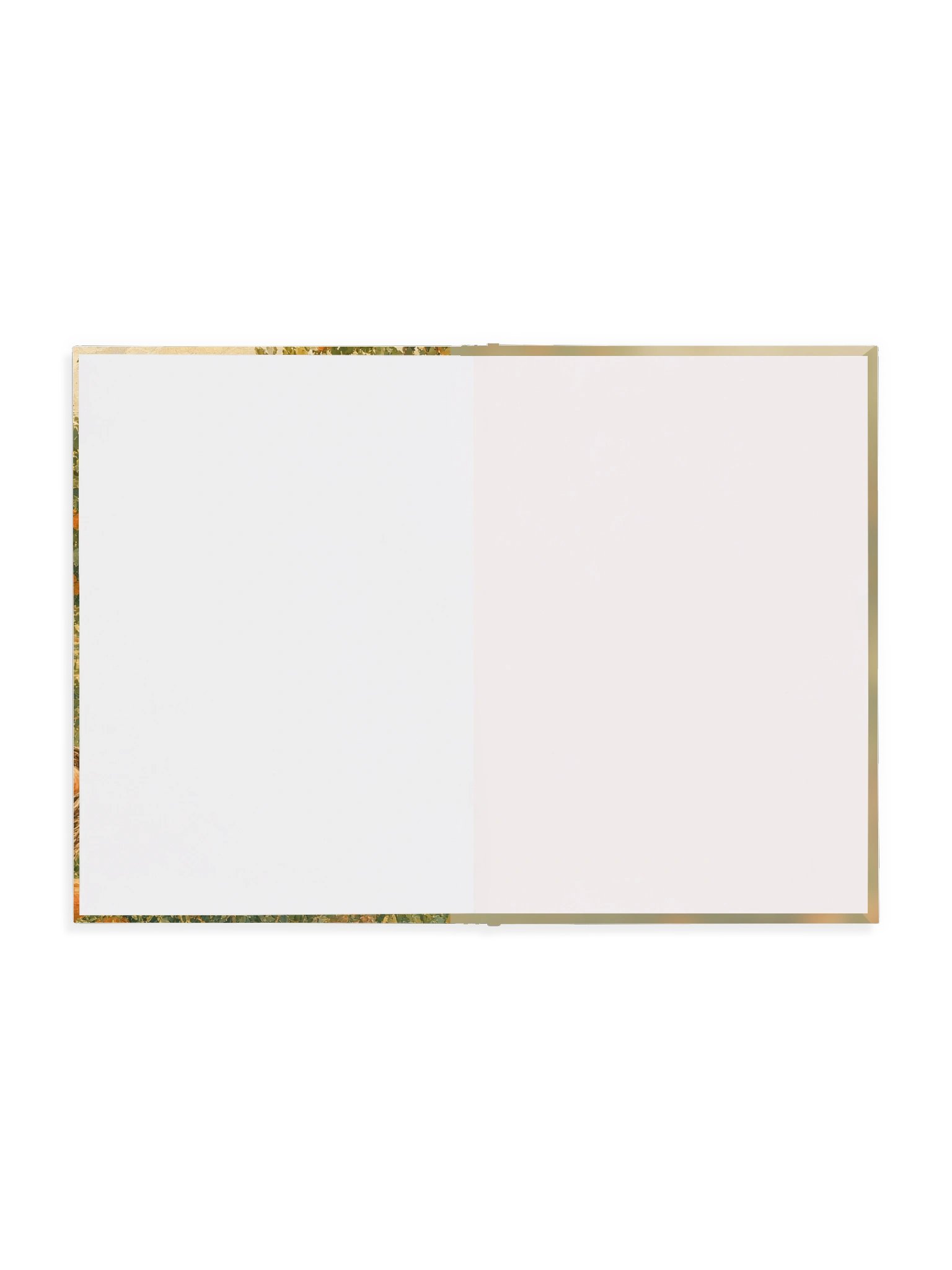 Apricot Orchard Drawing Book product image (5)