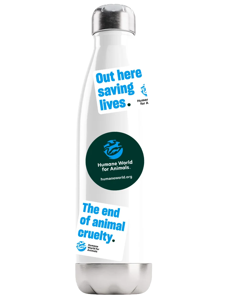 Humane World for Animals mission stickers – Set of 4 product image (1)