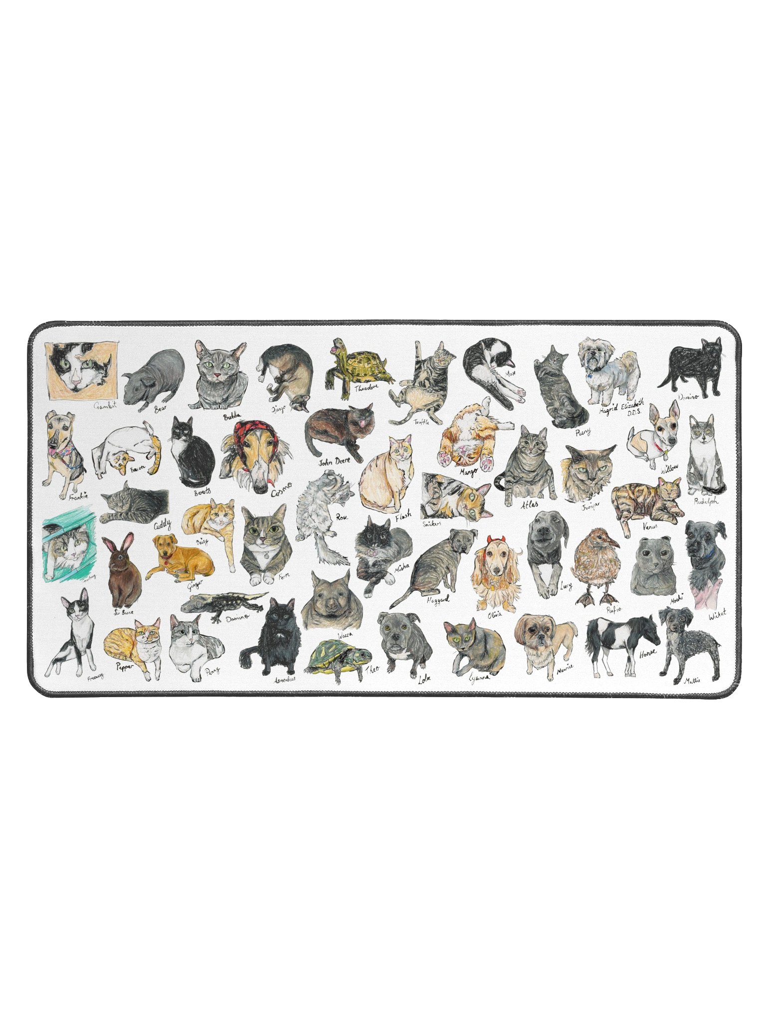 Scriggly pet desk mat product image (1)