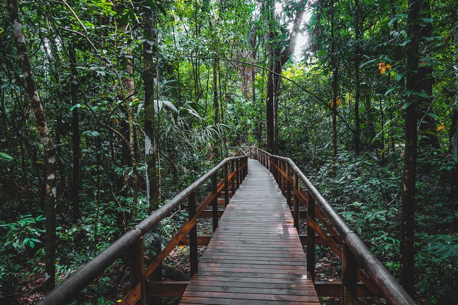 A path through Manuel Antonio National Park, Costa Rica