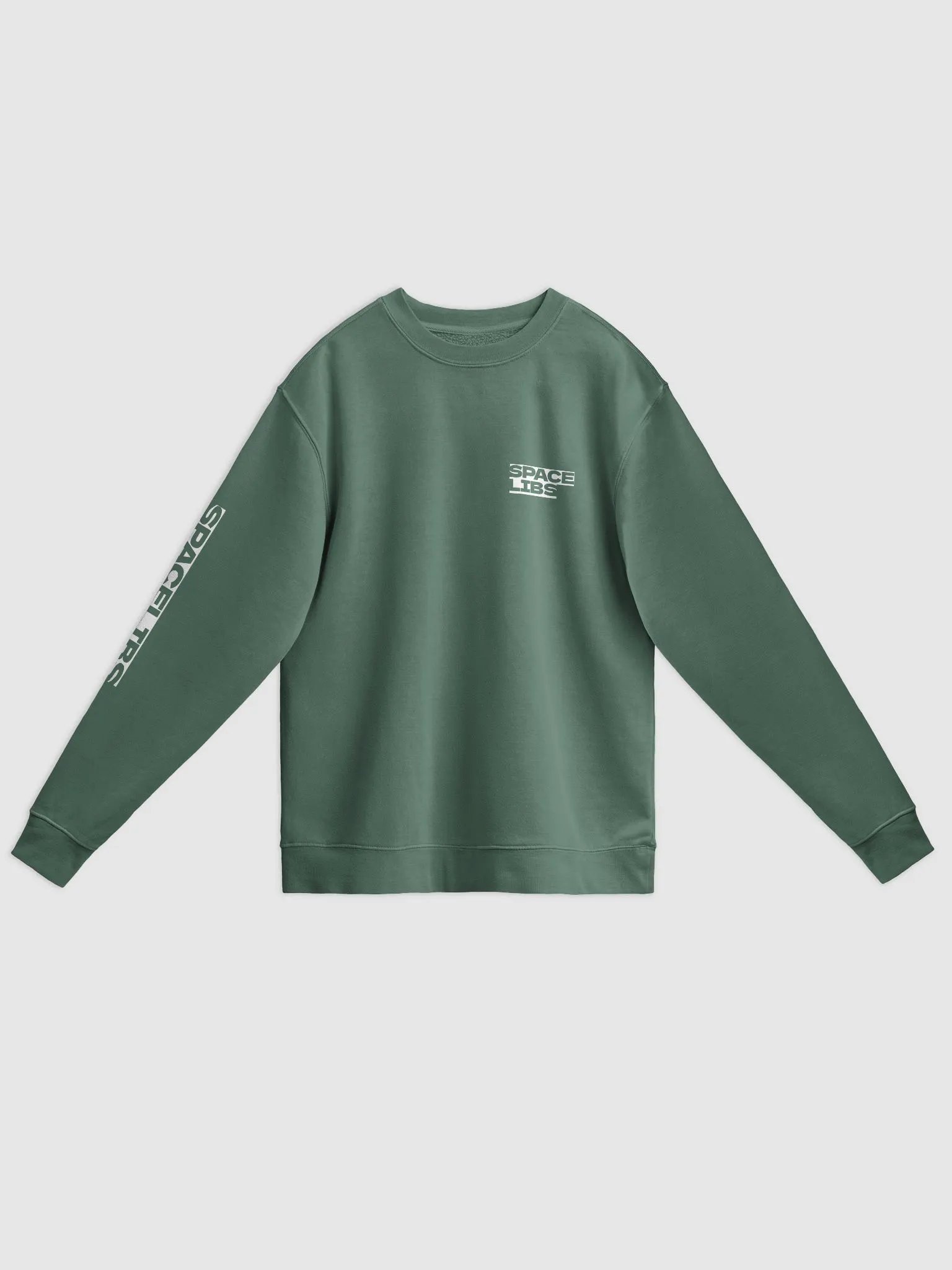 SpaceLibs Sweater (Light Details) product image (7)