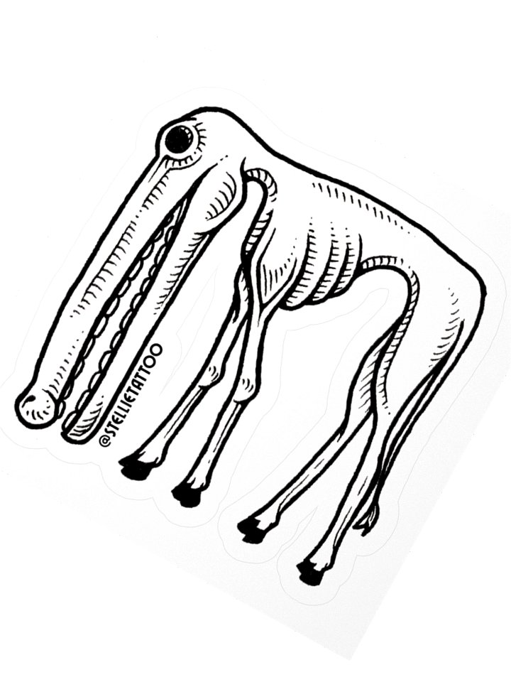 Specimen No. 3 - Longface product image (4)