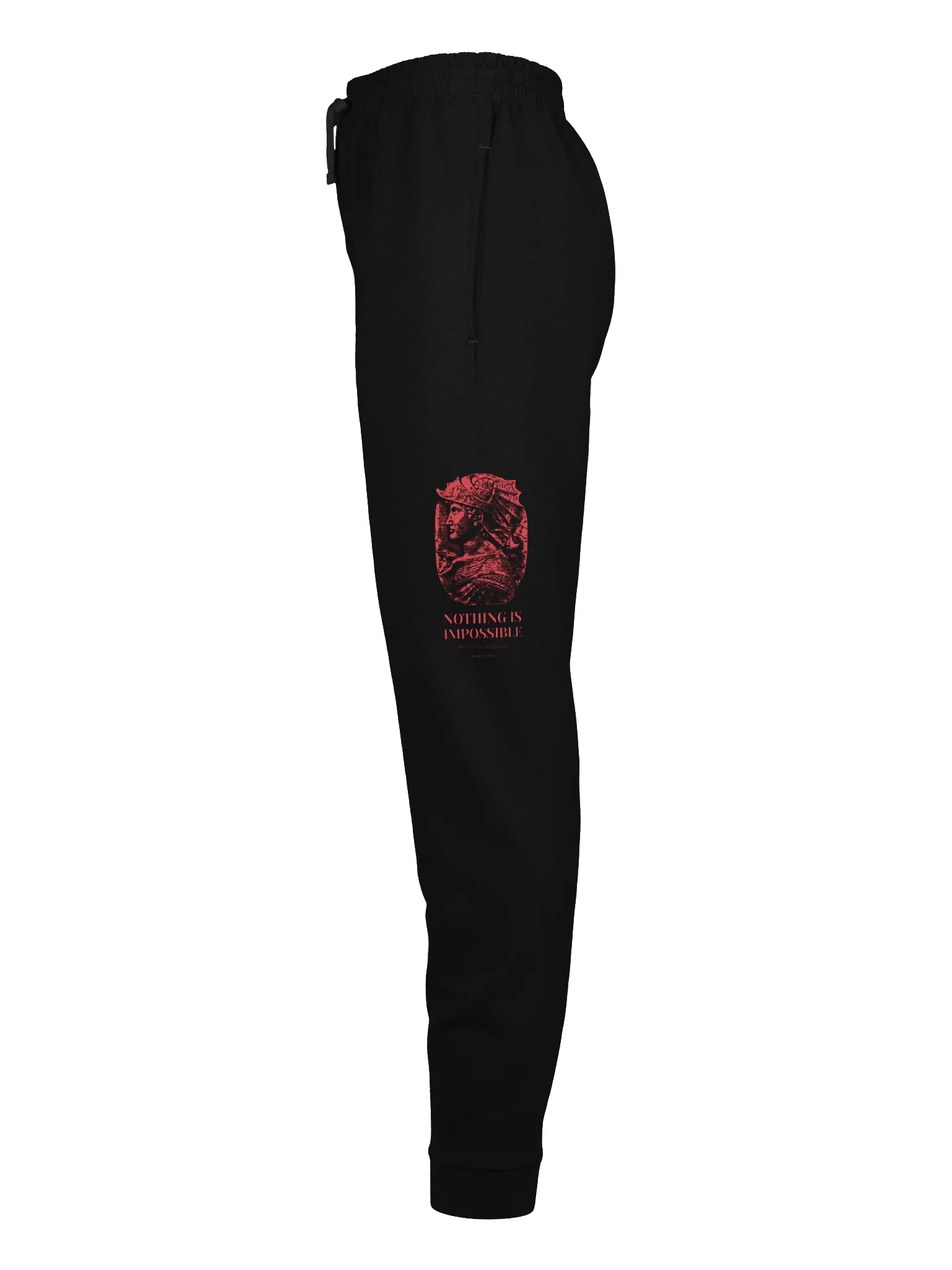 Alexander Nothing Is Impossible - Joggers product image (2)