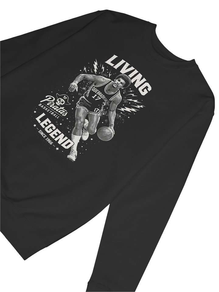 RD17 product image (2)