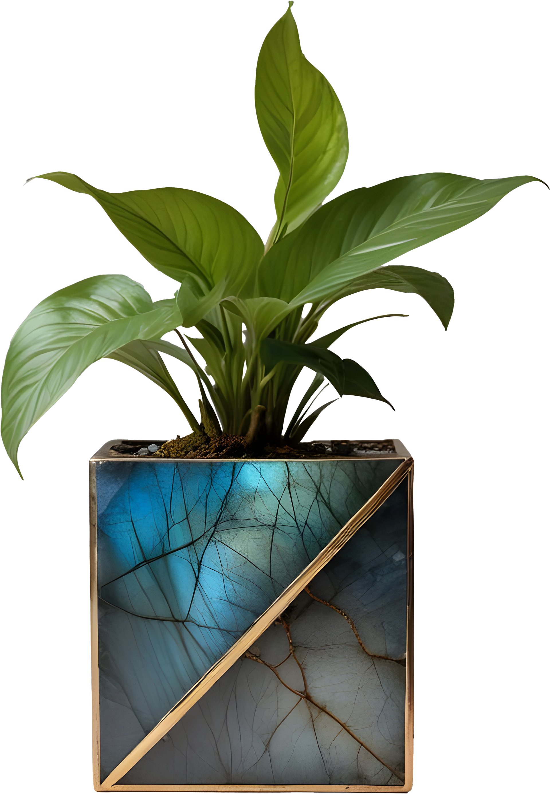Stellar Luxe – Diagonal Labradorite & Bronze Planter PNG product image (1)