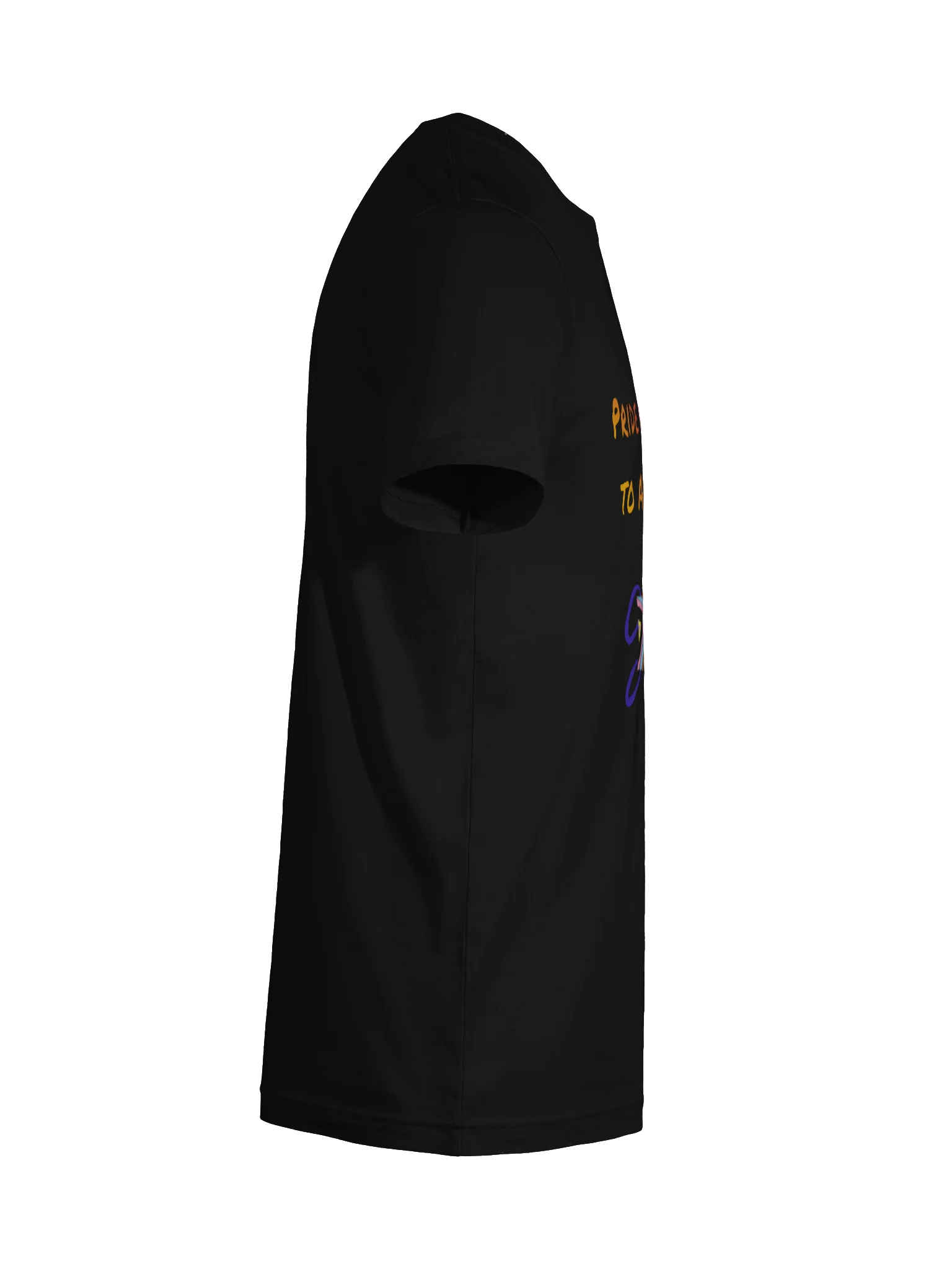 Pride Accessible to ALL>Some tee product image (10)