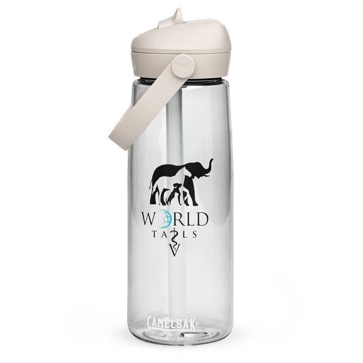 Logo CamelBak Water Bottle product image (1)