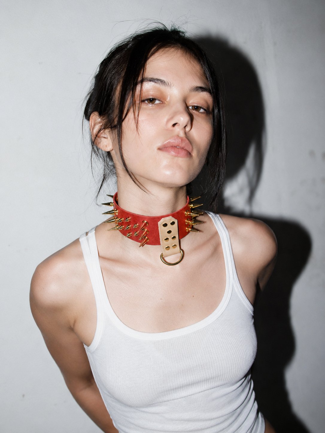 Aries Signature Collar product image (1)
