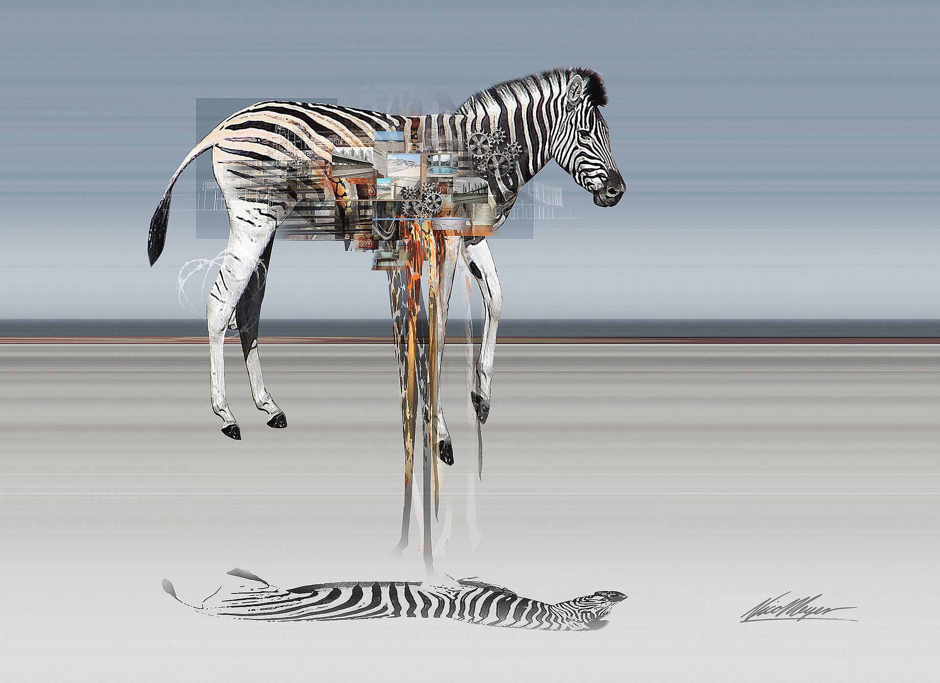 The Cipher: Zebra Fine Art Canvas Print | 1:1.33 Ratio product image (2)
