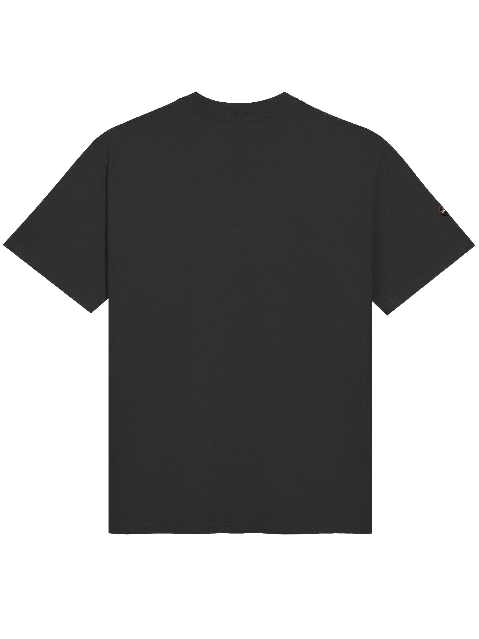 Royal Emblem Oversized Tee product image (4)