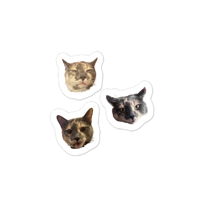 Kitty Face Stickers (Set of 3) product image (1)