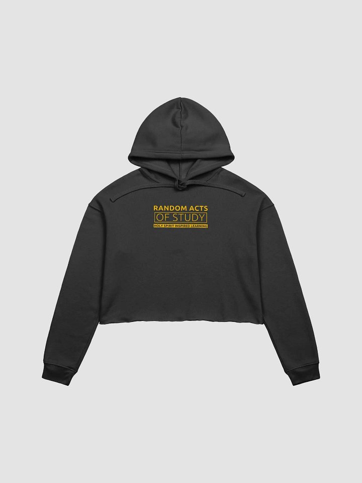 Divine Learning Crop Hoodie product image (1)