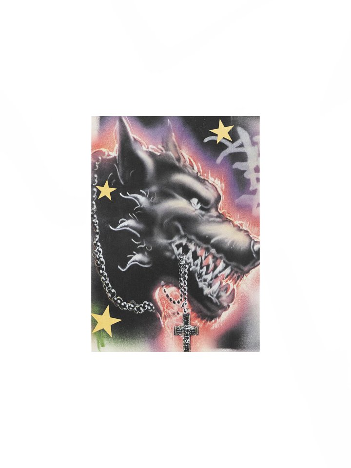 Wolf in Sheep's Clothing product image (1)