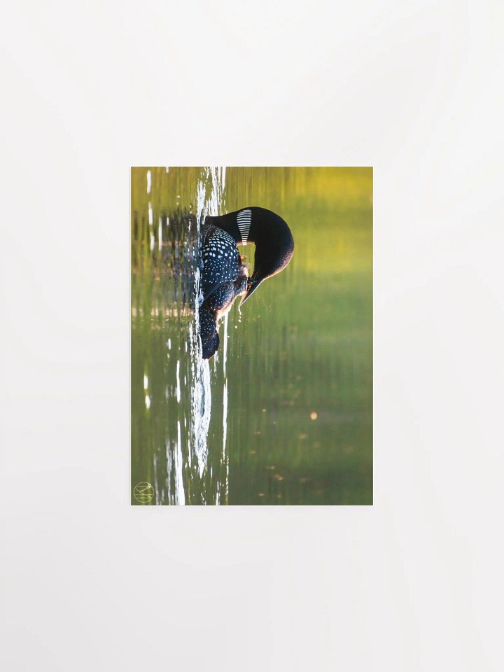 Preening (B) Print product image (2)