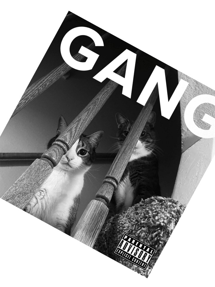 we should start a band product image (2)