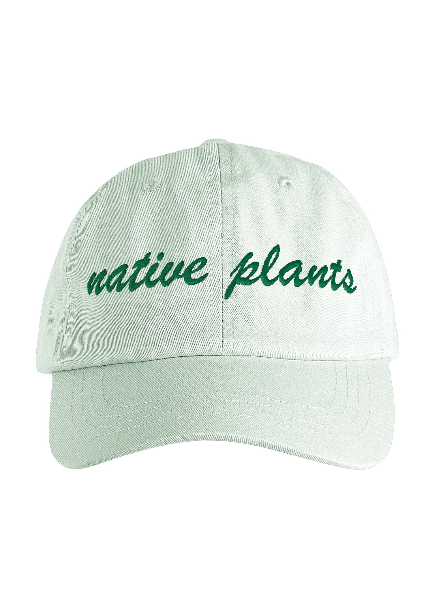 Native Plants Embroidered Dad Hat product image (1)