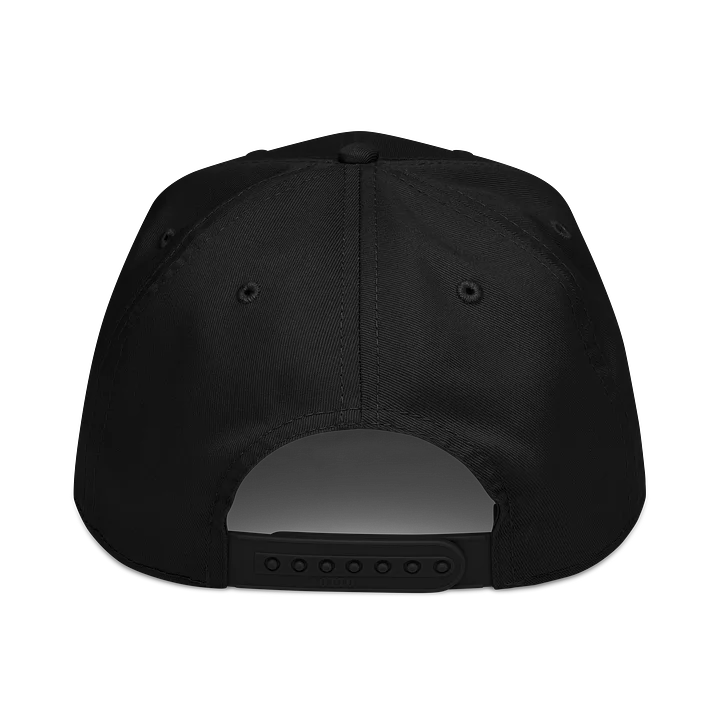 GP42 HAT product image (2)