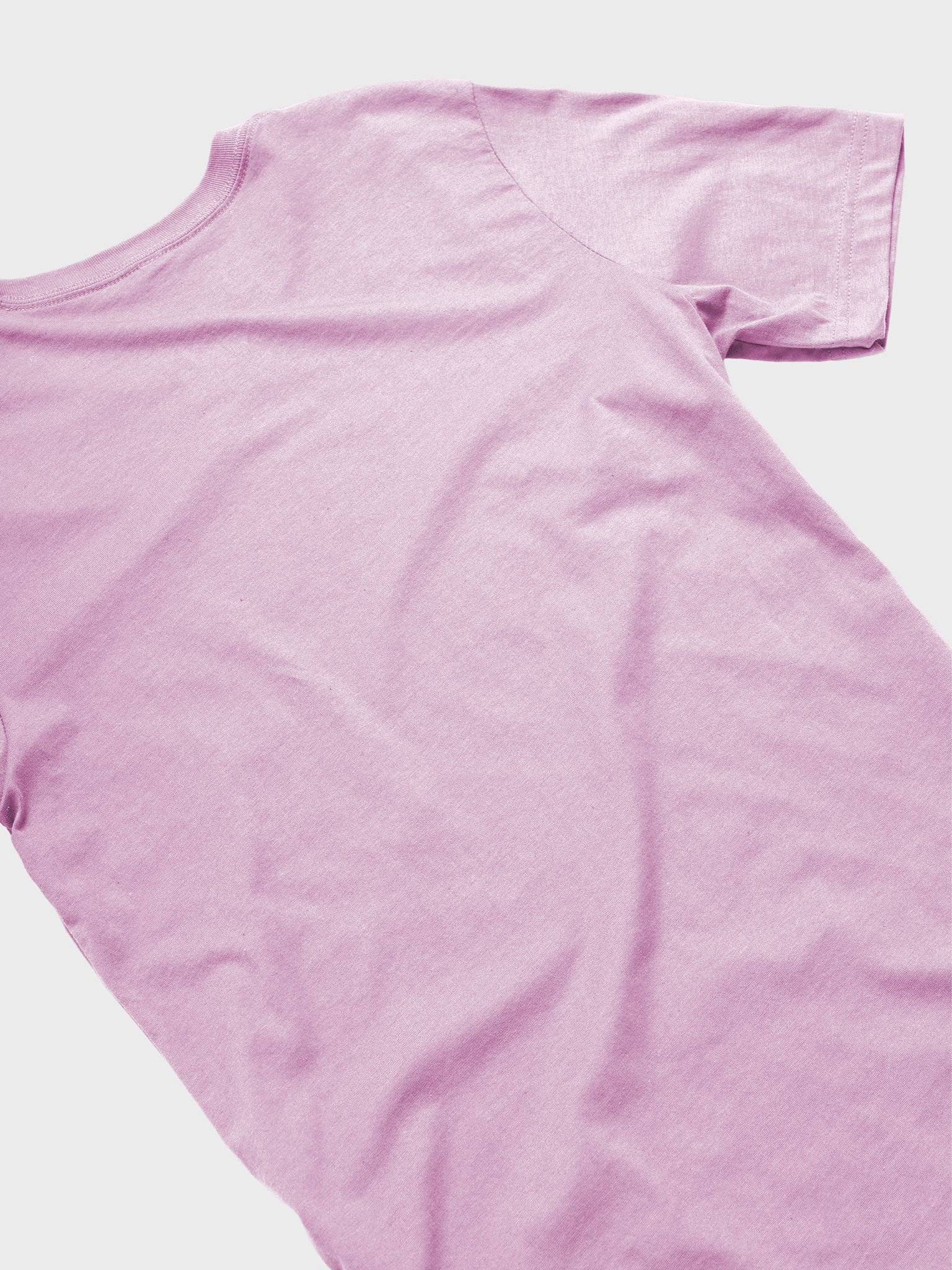 Stinky-T Tee product image (16)