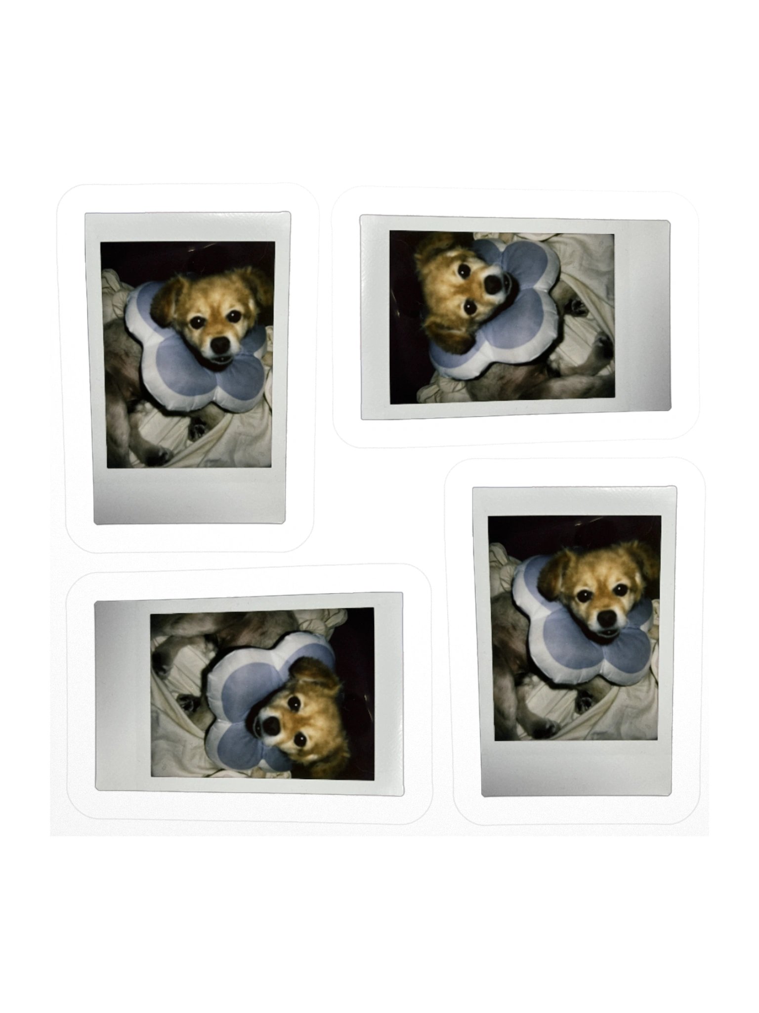 For your friends product image (3)