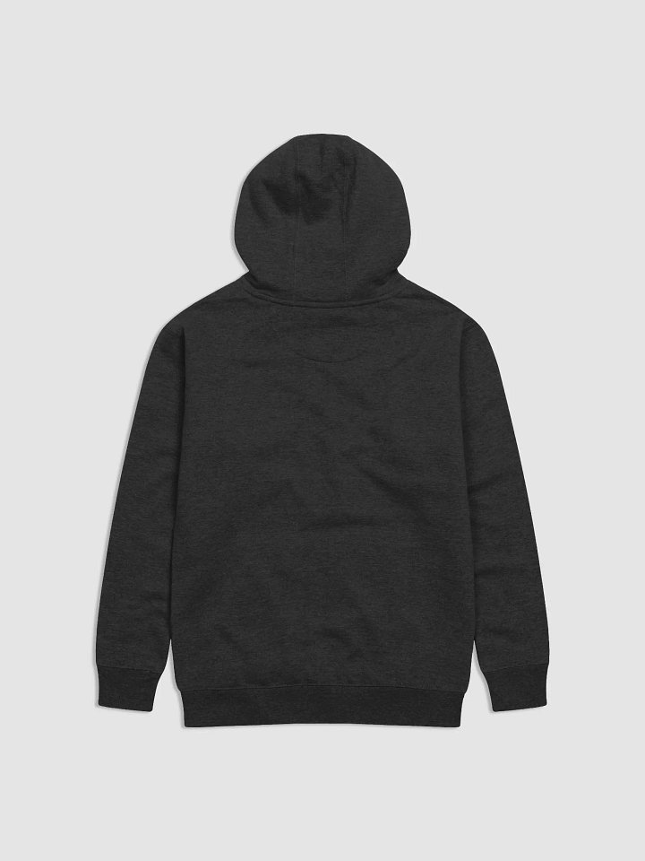 Channel Collection Hoodie product image (2)