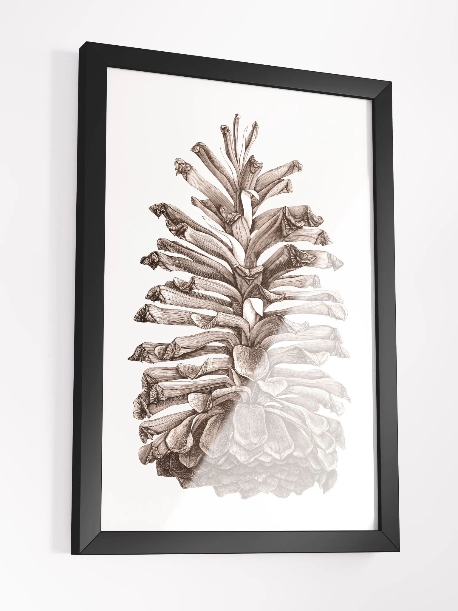 Ecotone Pine Cone Framed Print product image (3)