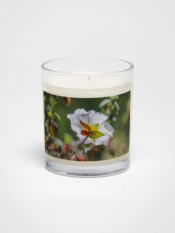 🕯️ Candle – Rockrose in Bloom, Springtime at Rayol Garden product image (1)