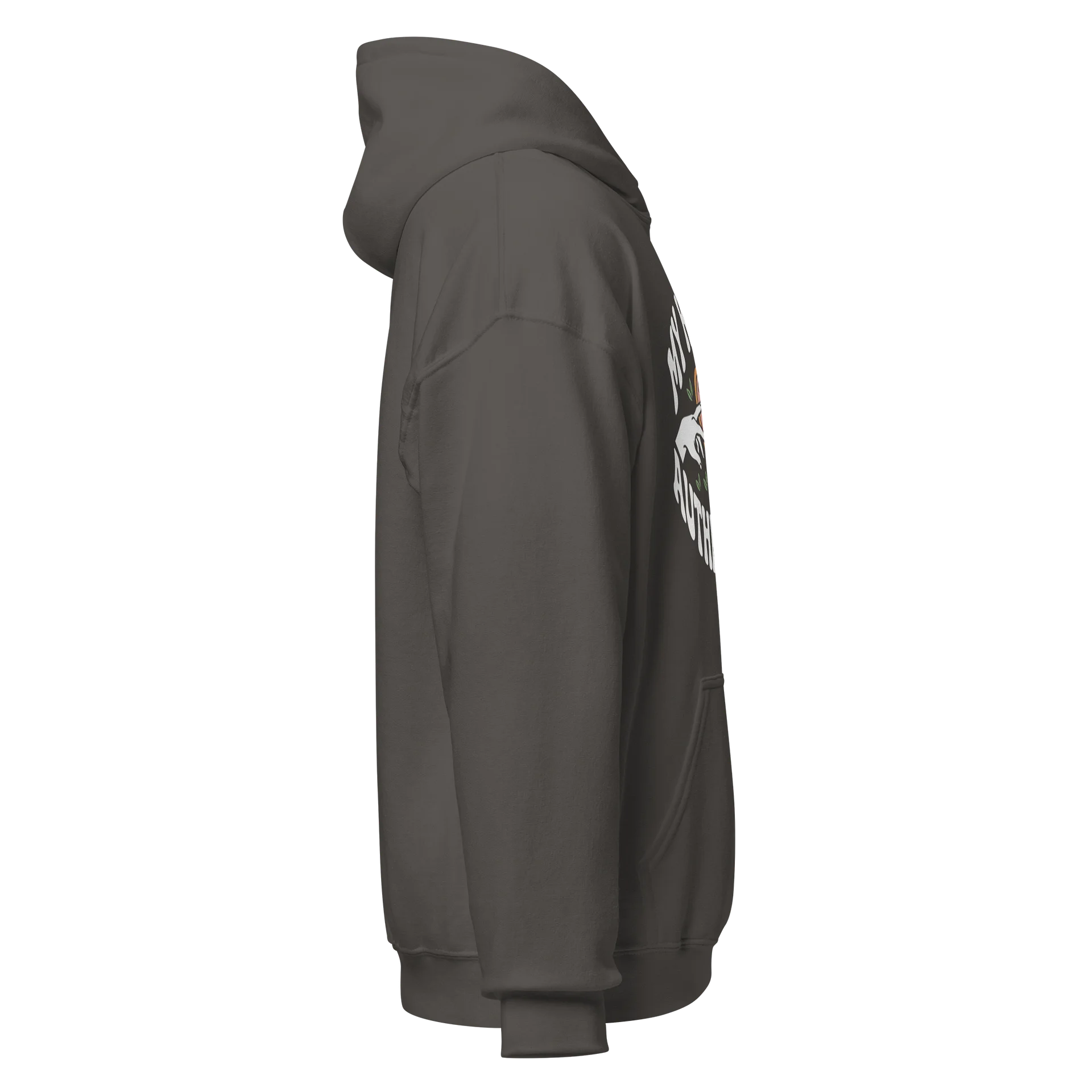 “My Kink Is Authenticity” Charcoal Classic Unisex Hoodie product image (4)