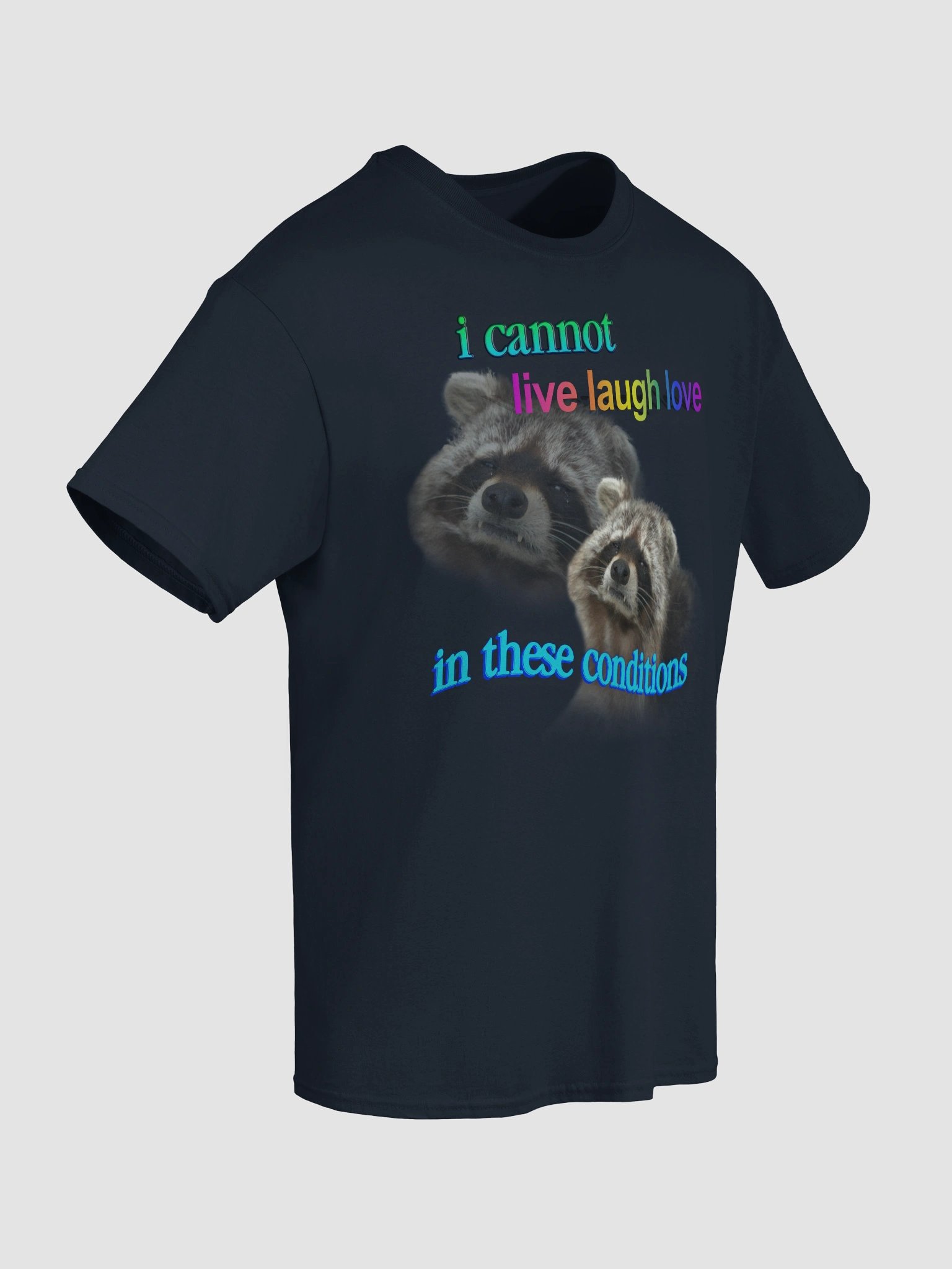 I cannot live laugh love in these conditions - raccoon T-shirt product image (104)