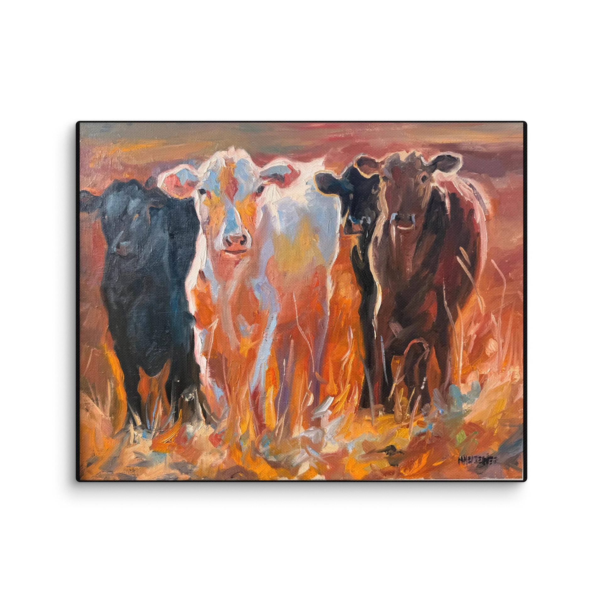 Heifers in the Pasture Giclee Canvas product image (1)