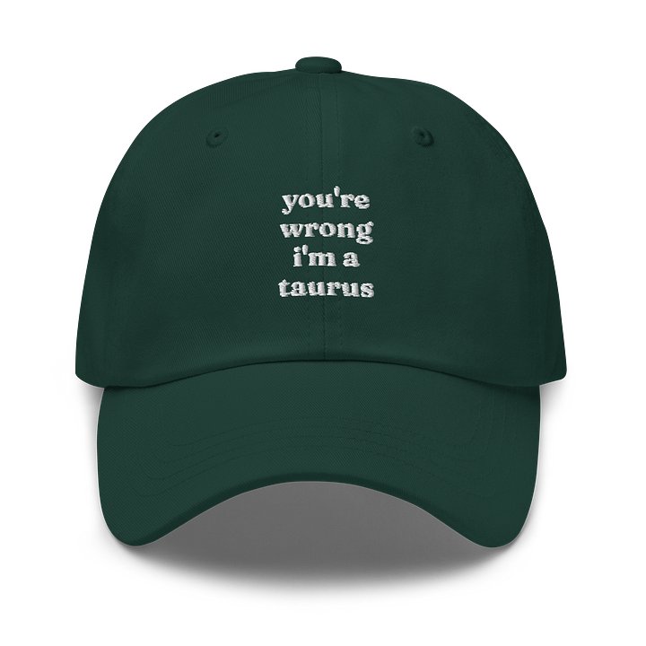 you're wrong taurus embroidered cap product image (50)