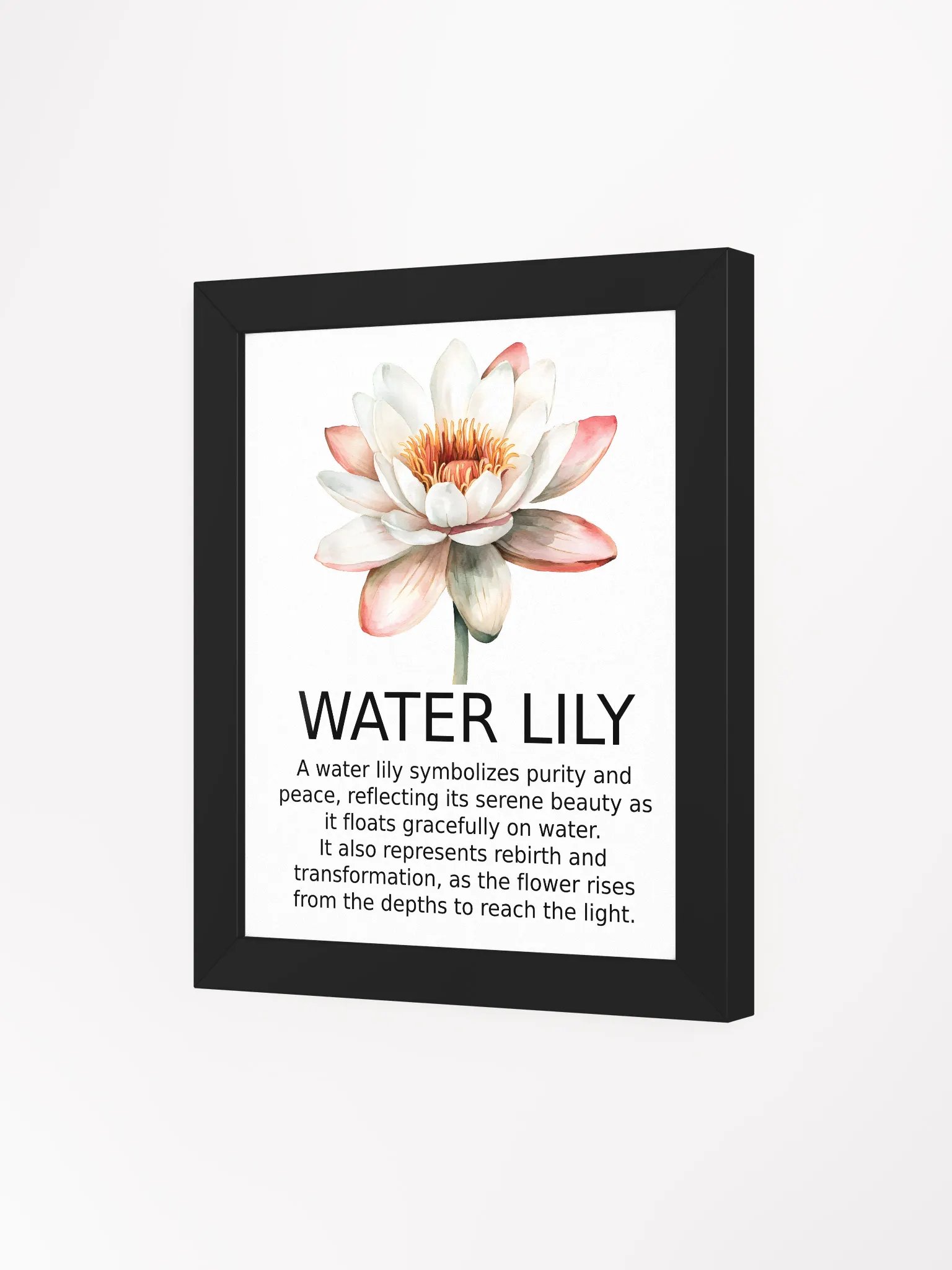 Serene Lily: Framed Matte Poster product image (3)