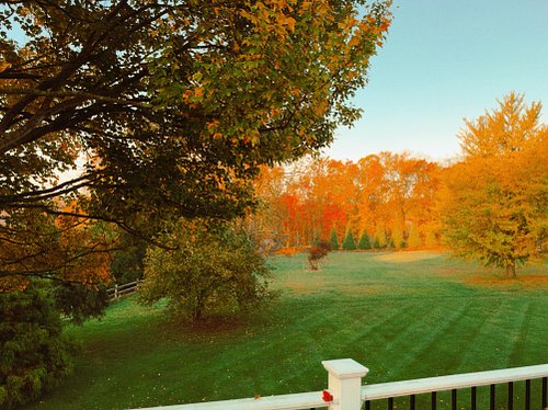 PA in the fall is perfect vibes #pa #fall #autumn #pennsylvania #aesthetic
