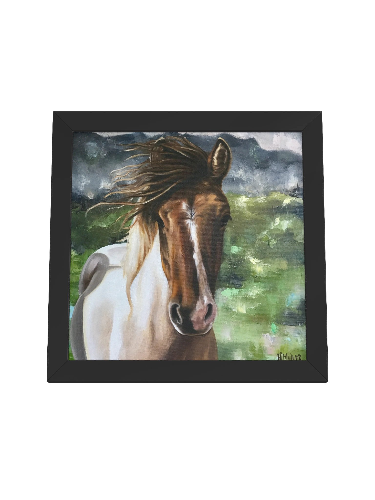 Wild Horse Fine Art Print - Wildlife Wall Art product image (5)