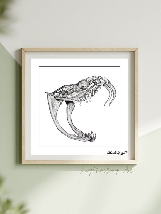 Skeletal Illustration