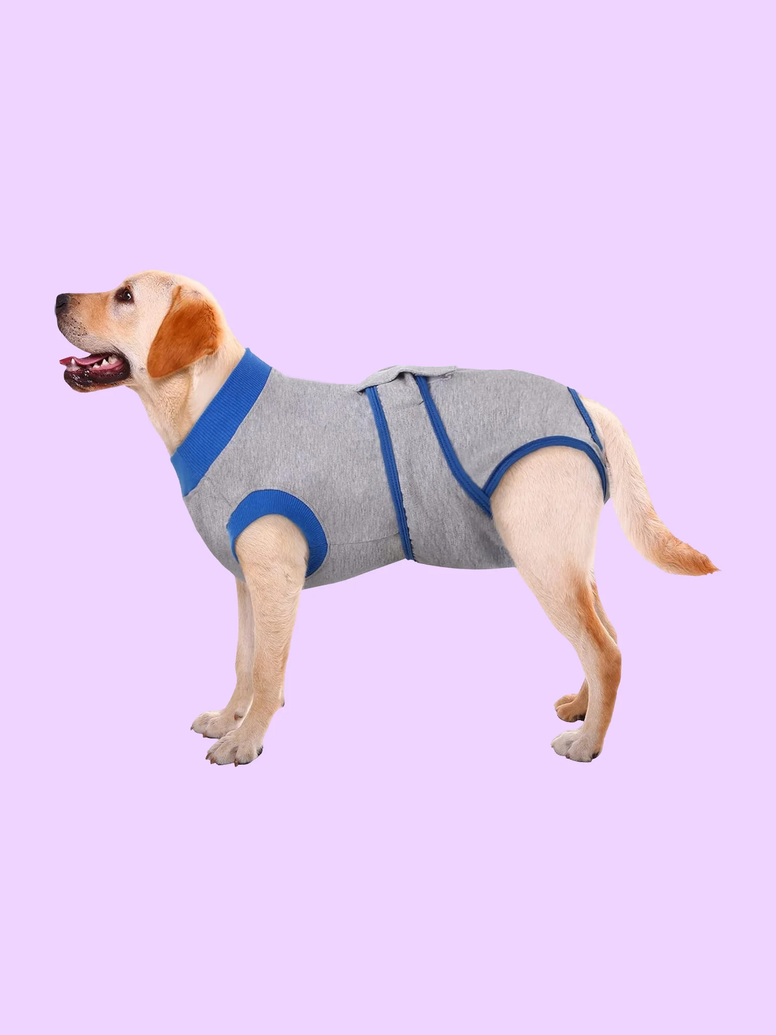 Dog Surgery Recovery Suit product image (1)