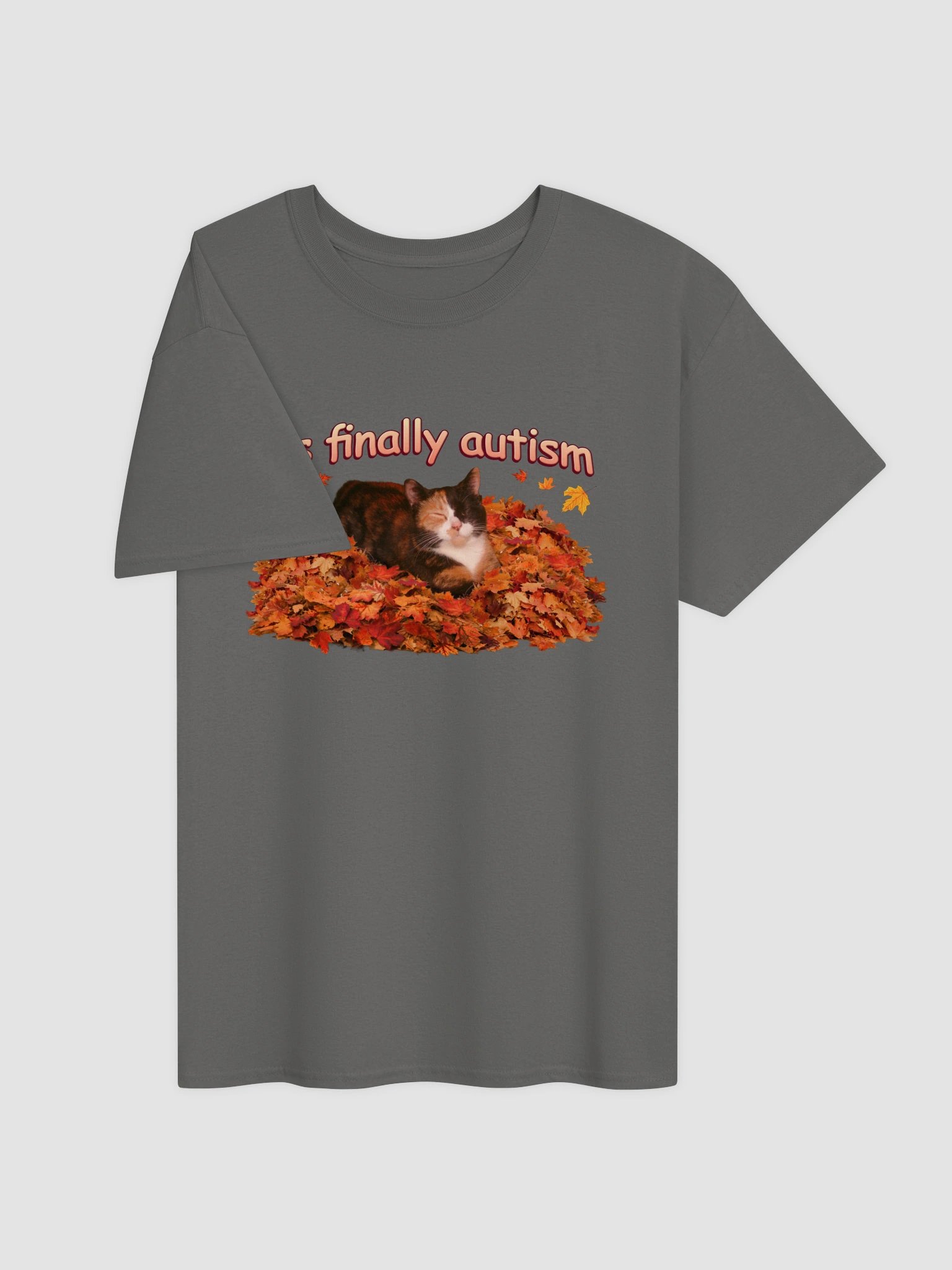 It's Finally Autism Autumn Cat T-shirt product image (64)