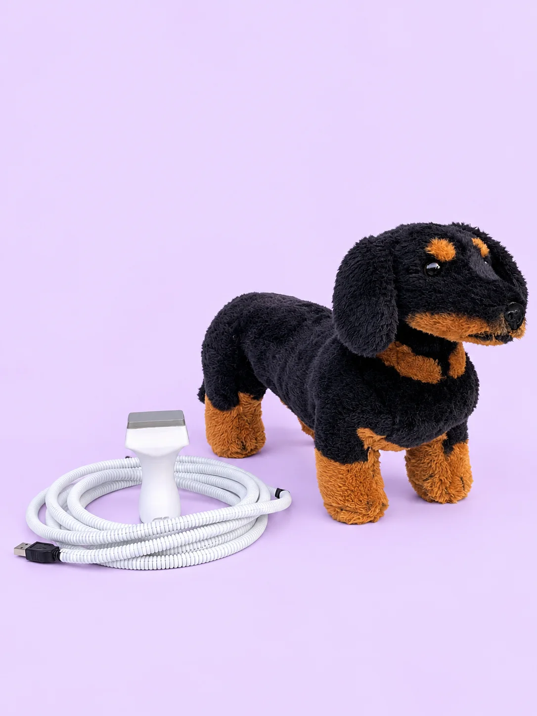 Canine Abdominal Ultrasound Simulator Kit product image (1)