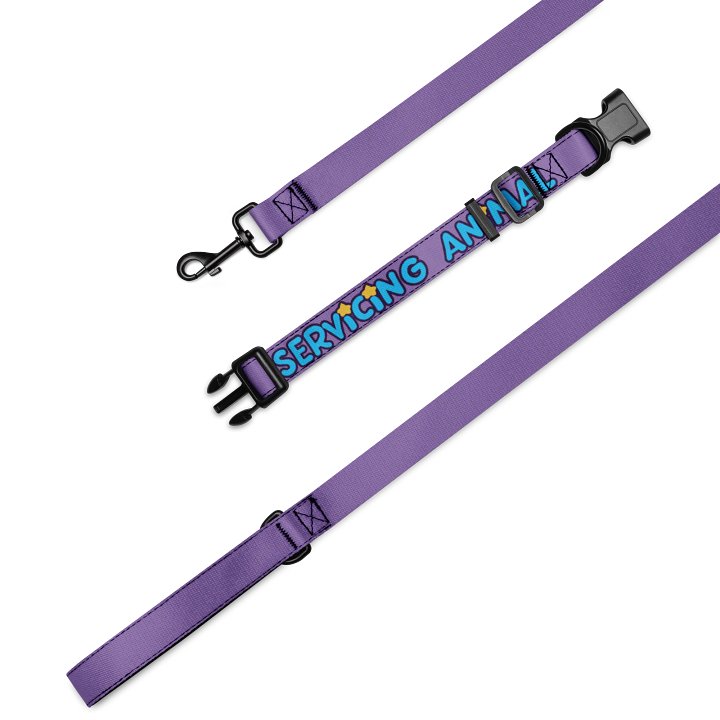 SUS COLLAR + LEASH product image (1)
