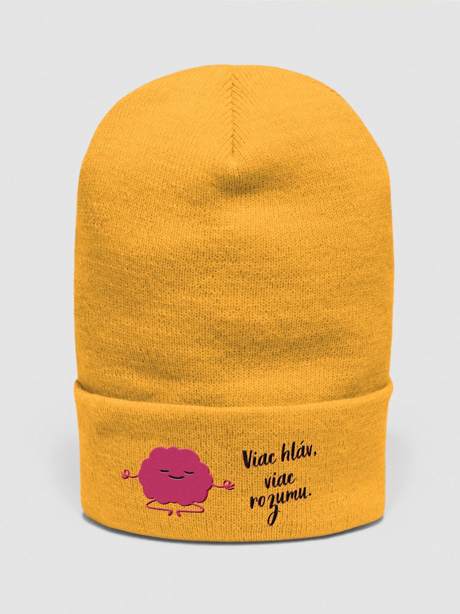 Dámska čiapka "Viac hláv, viac rozumu." product image (4)