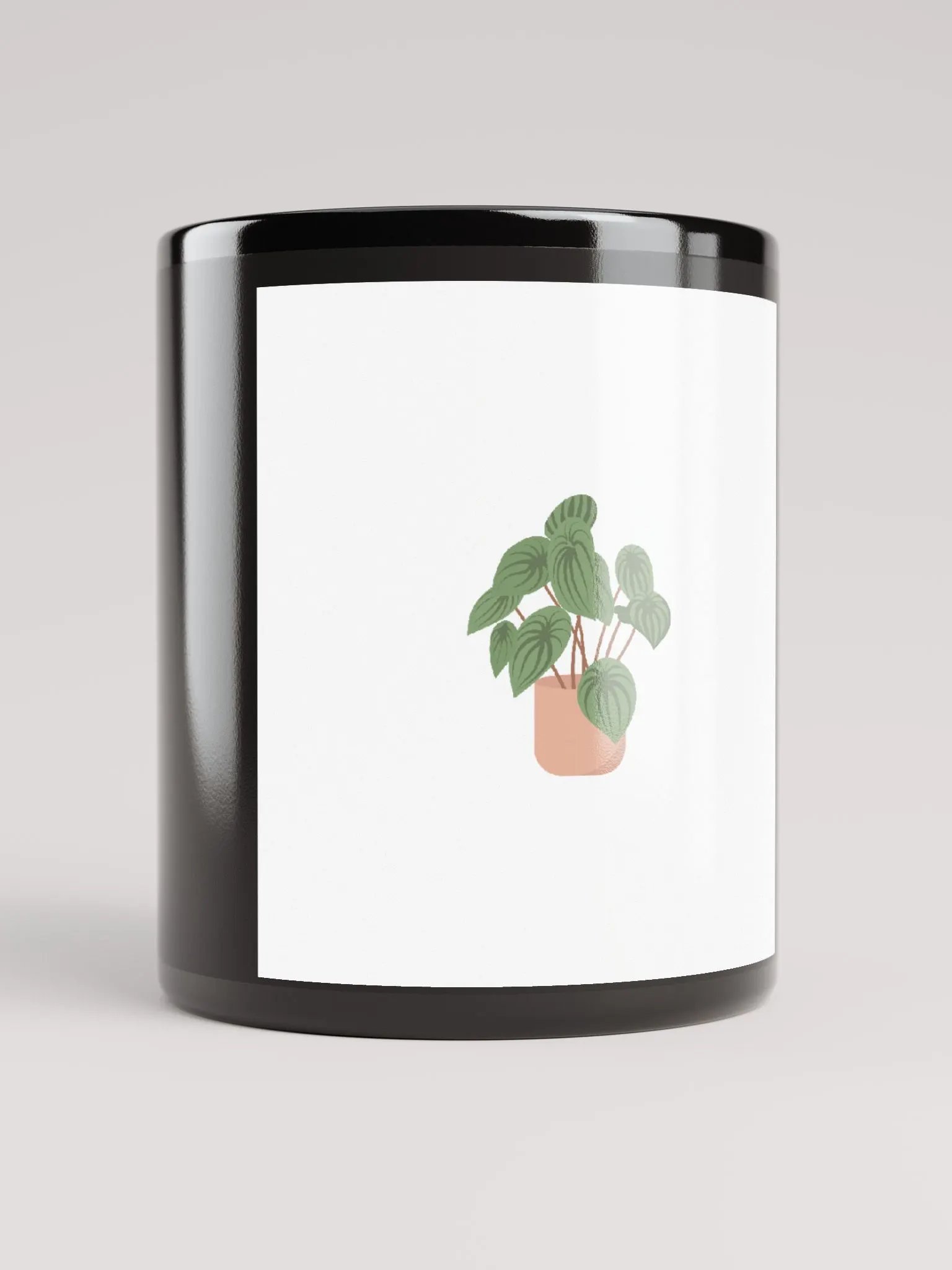 plants product image (9)