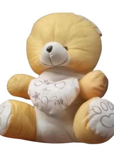TEDDY BEAR product image (1)