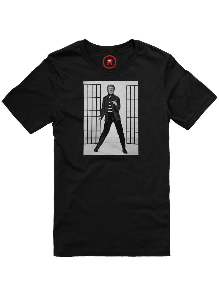 Trump House Rock product image (5)
