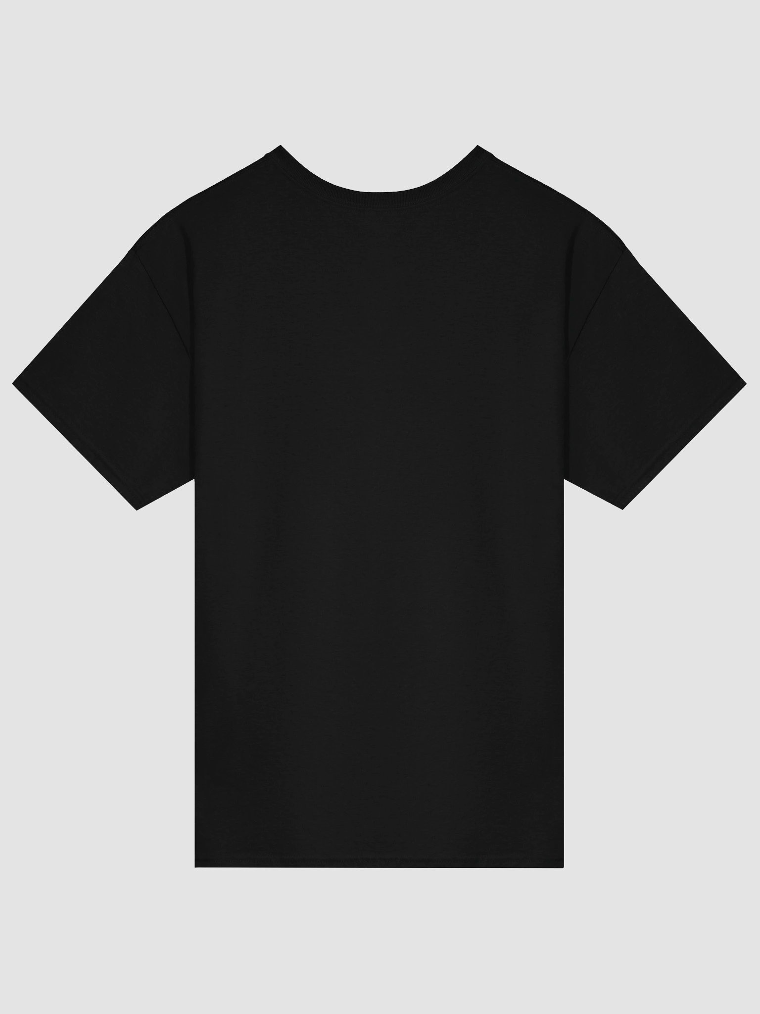 The Fool T-shirt product image (11)