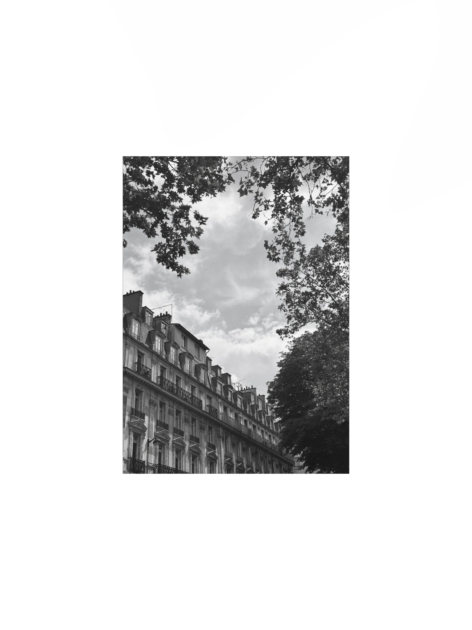 Toits ciel parisien dé-saturé (impression) product image (1)