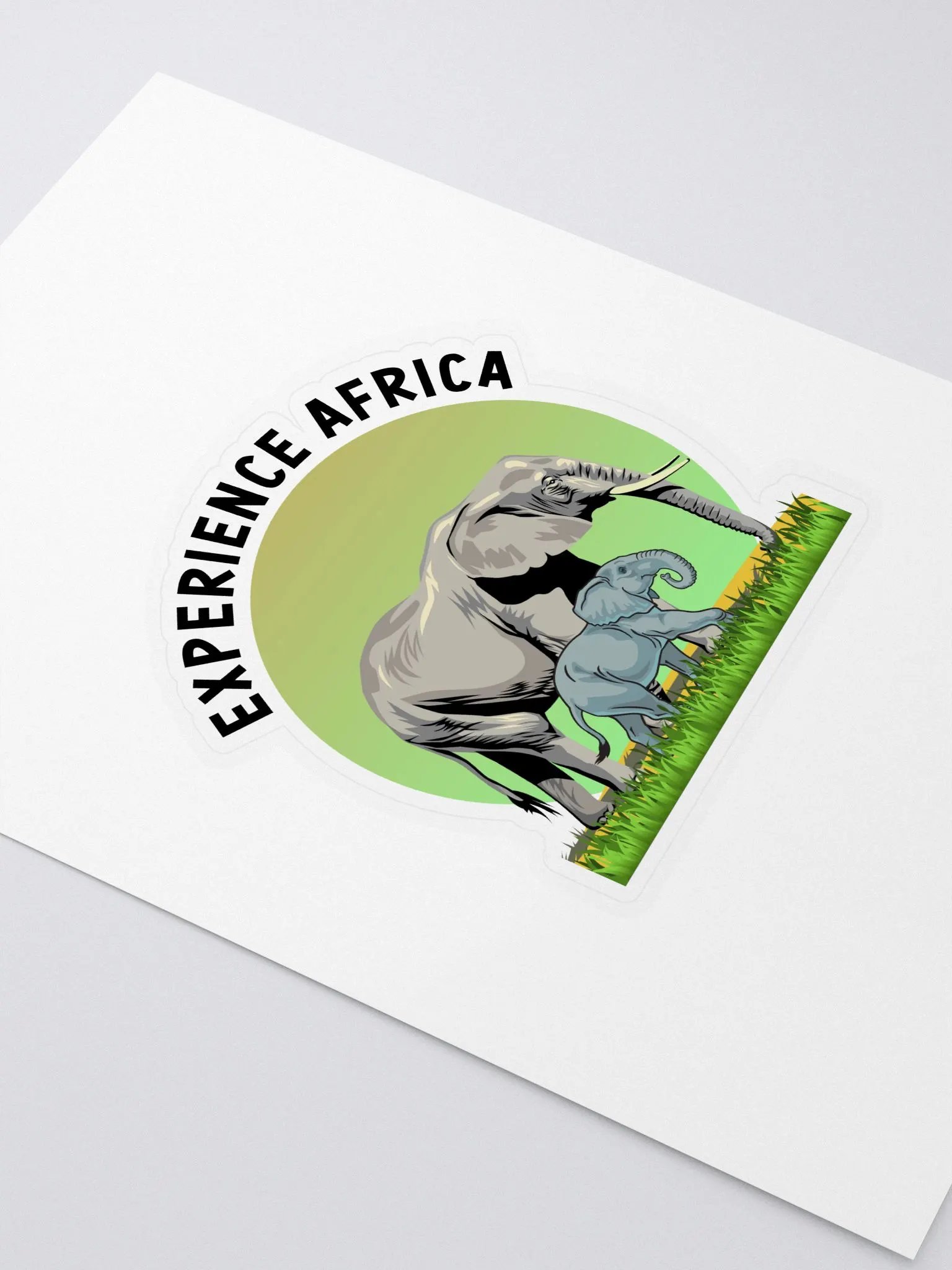 Experience Africa product image (2)