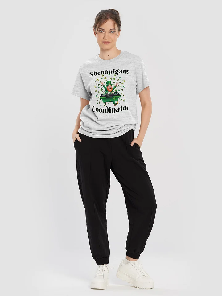 Shenanigans Coordinator T-Shirt product image (1)