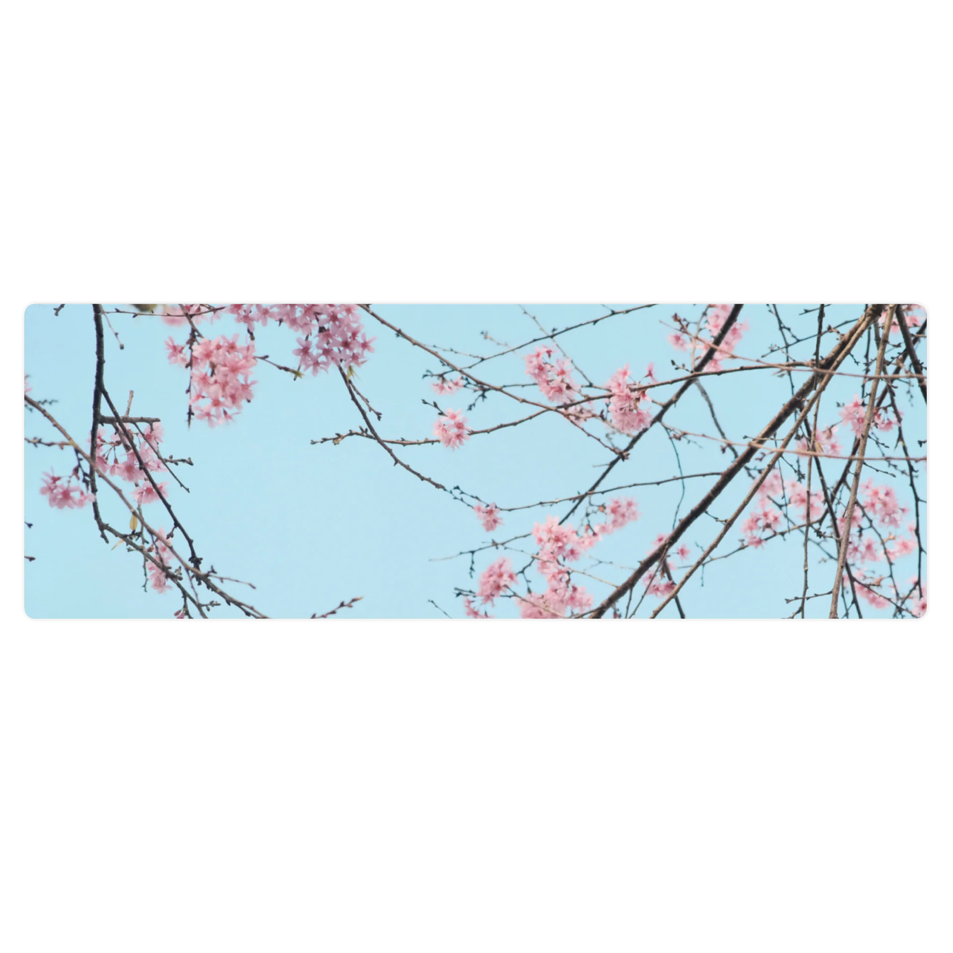 Rooted Pilates Mat product image (3)