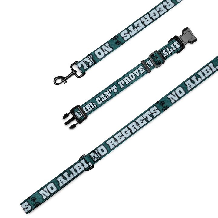 No Alibi No Regrets Dog Collar and Leash Set product image (1)