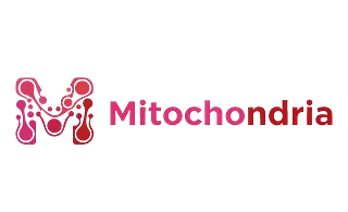 Mitochondria Finance | Powering Women’s Financial Future